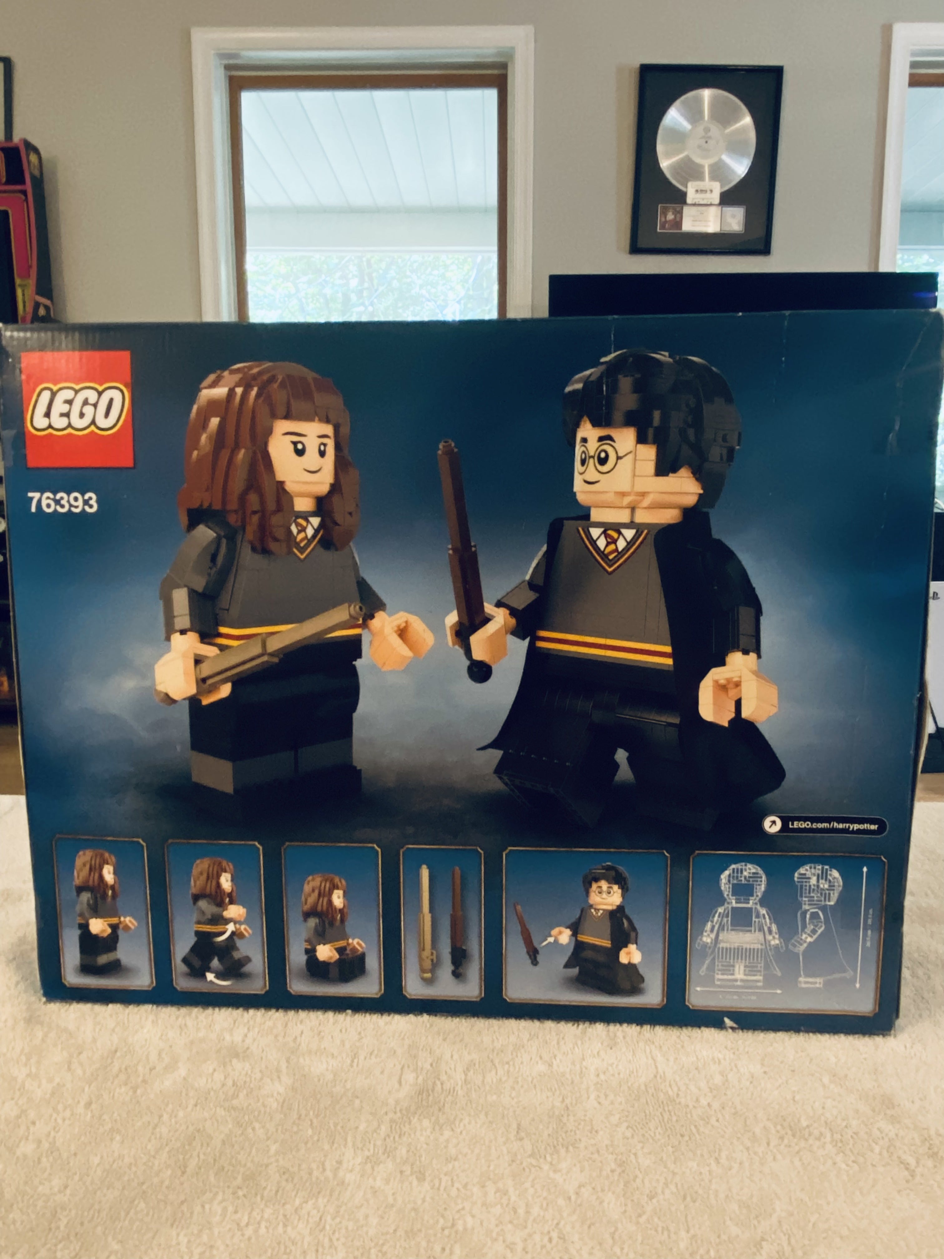 Photo 2 of Harry Potter & Hermione Granger