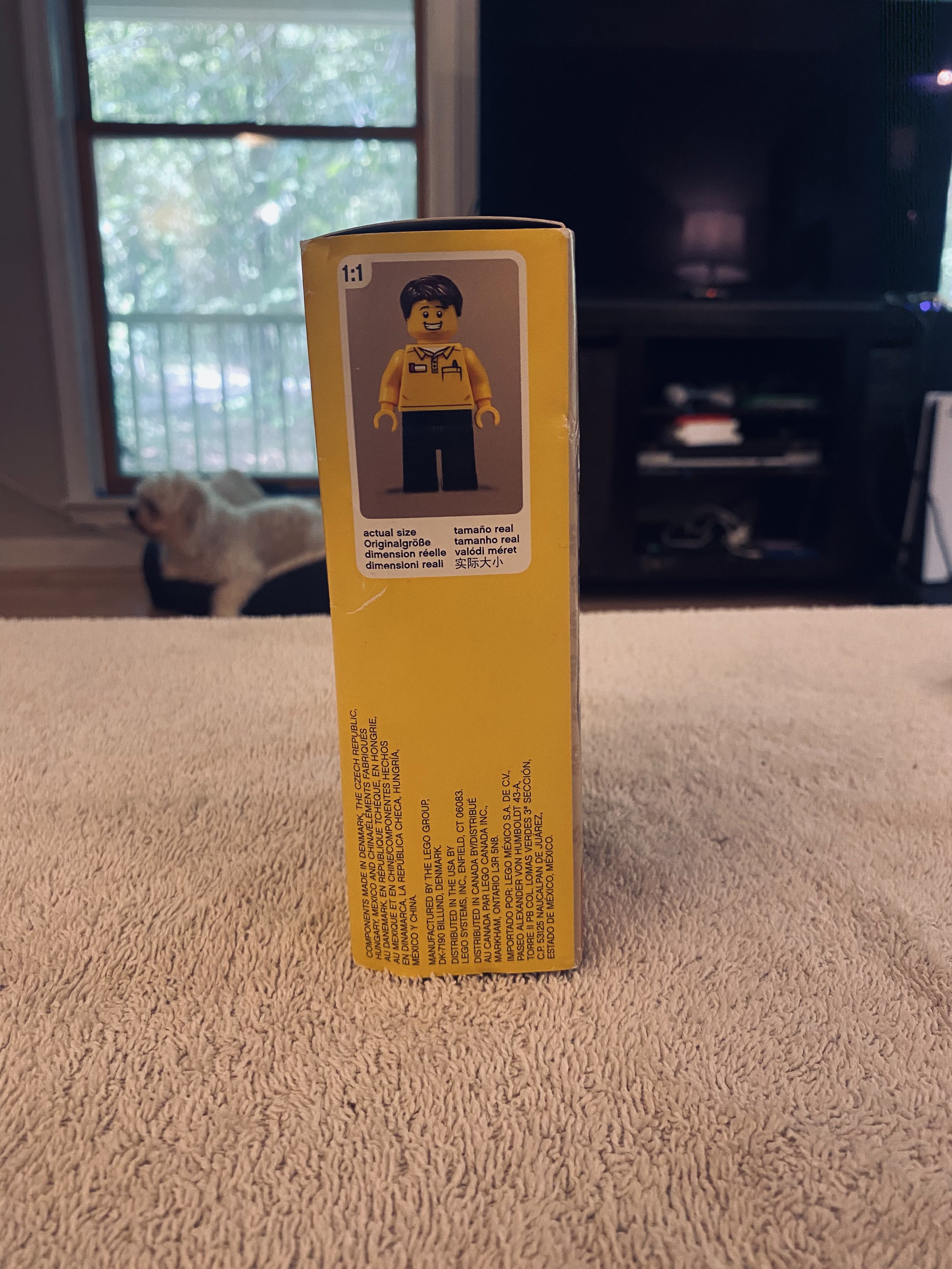 Photo 5 of Minifigure Factory