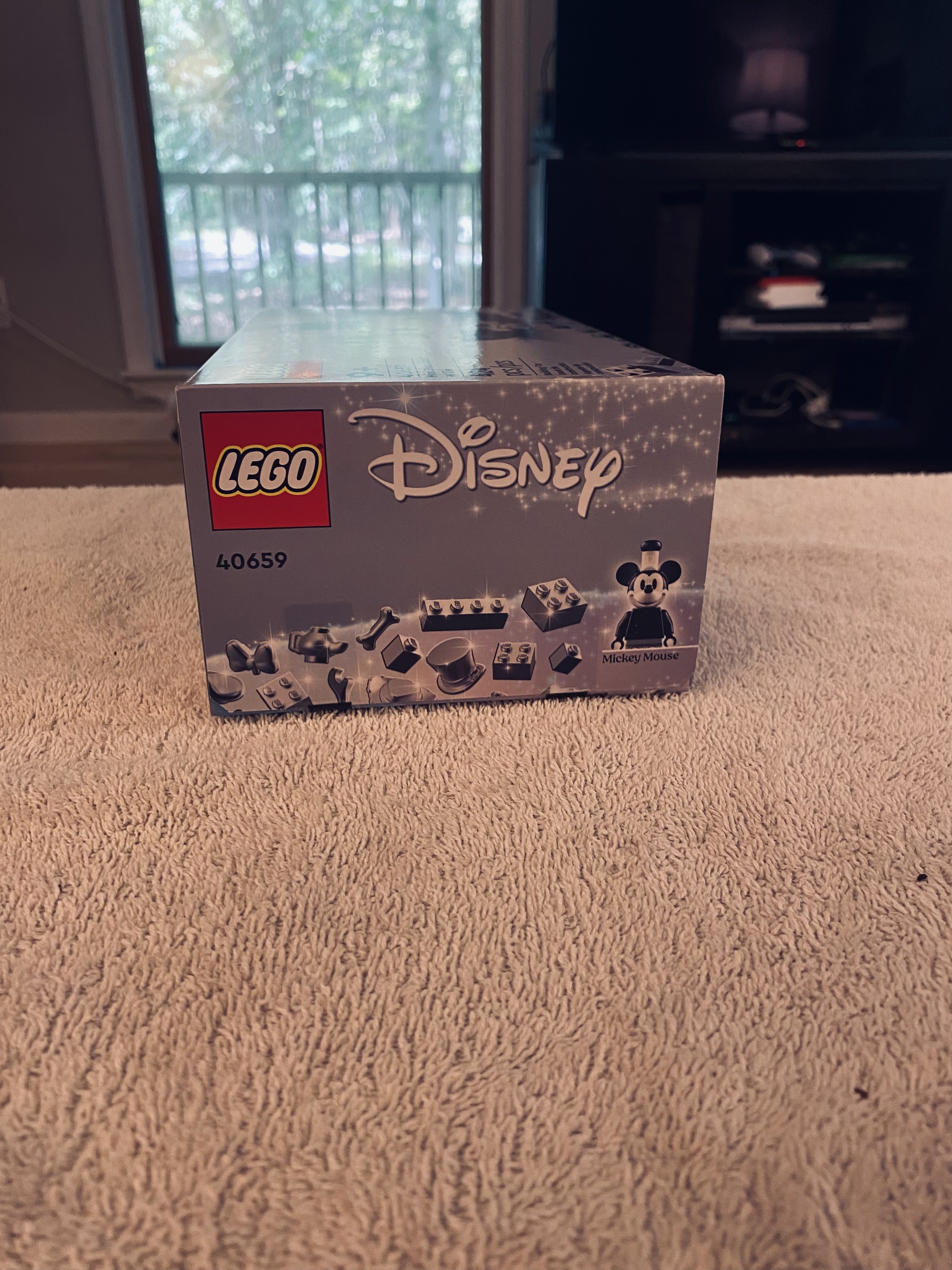 Photo 3 of Mini Steamboat Willie