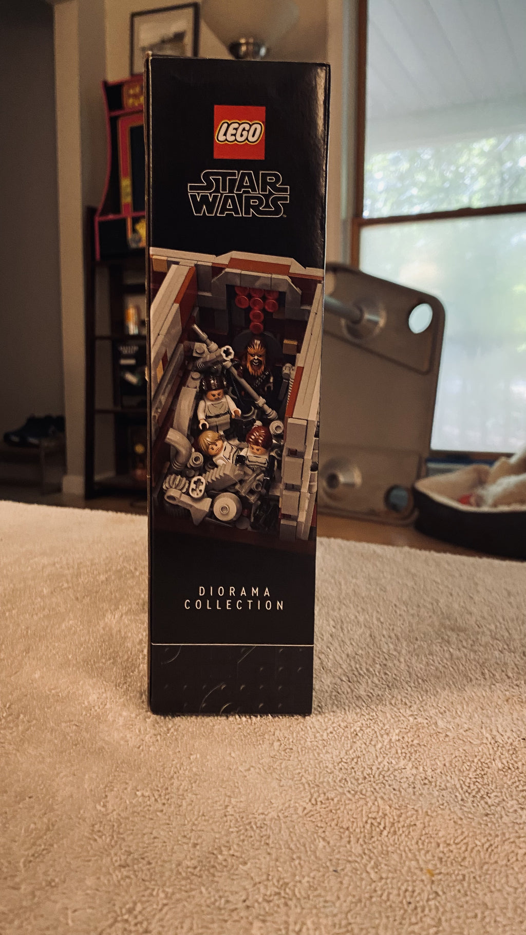 Photo 3 of Death Star Trash Compactor Diorama