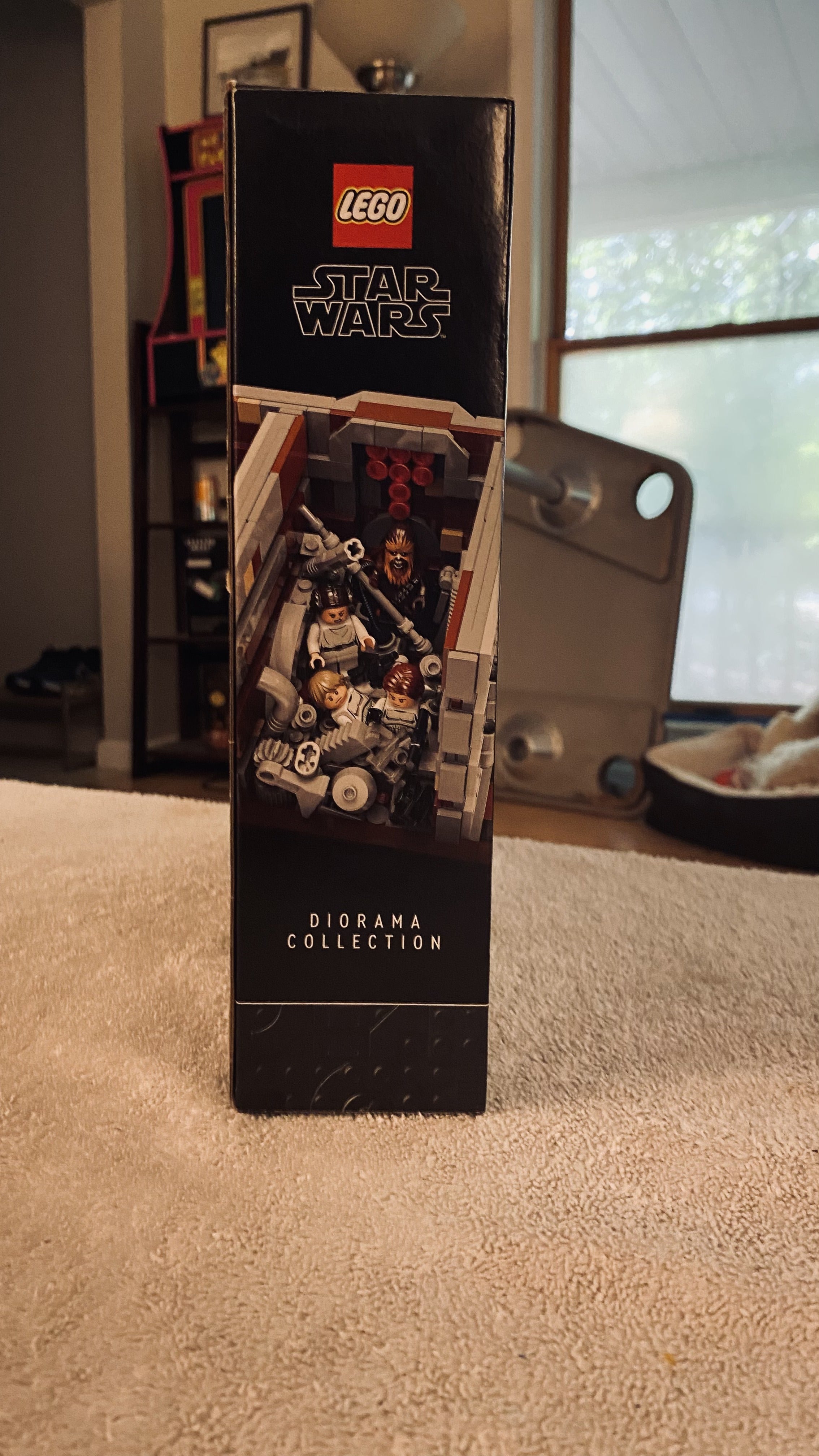 Photo 3 of Death Star Trash Compactor Diorama
