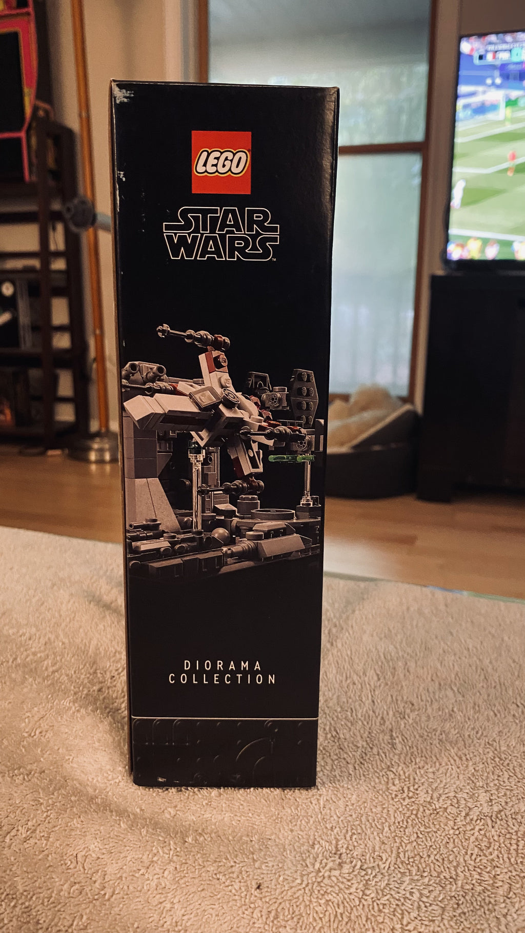 Photo 4 of Death Star Trench Run Diorama