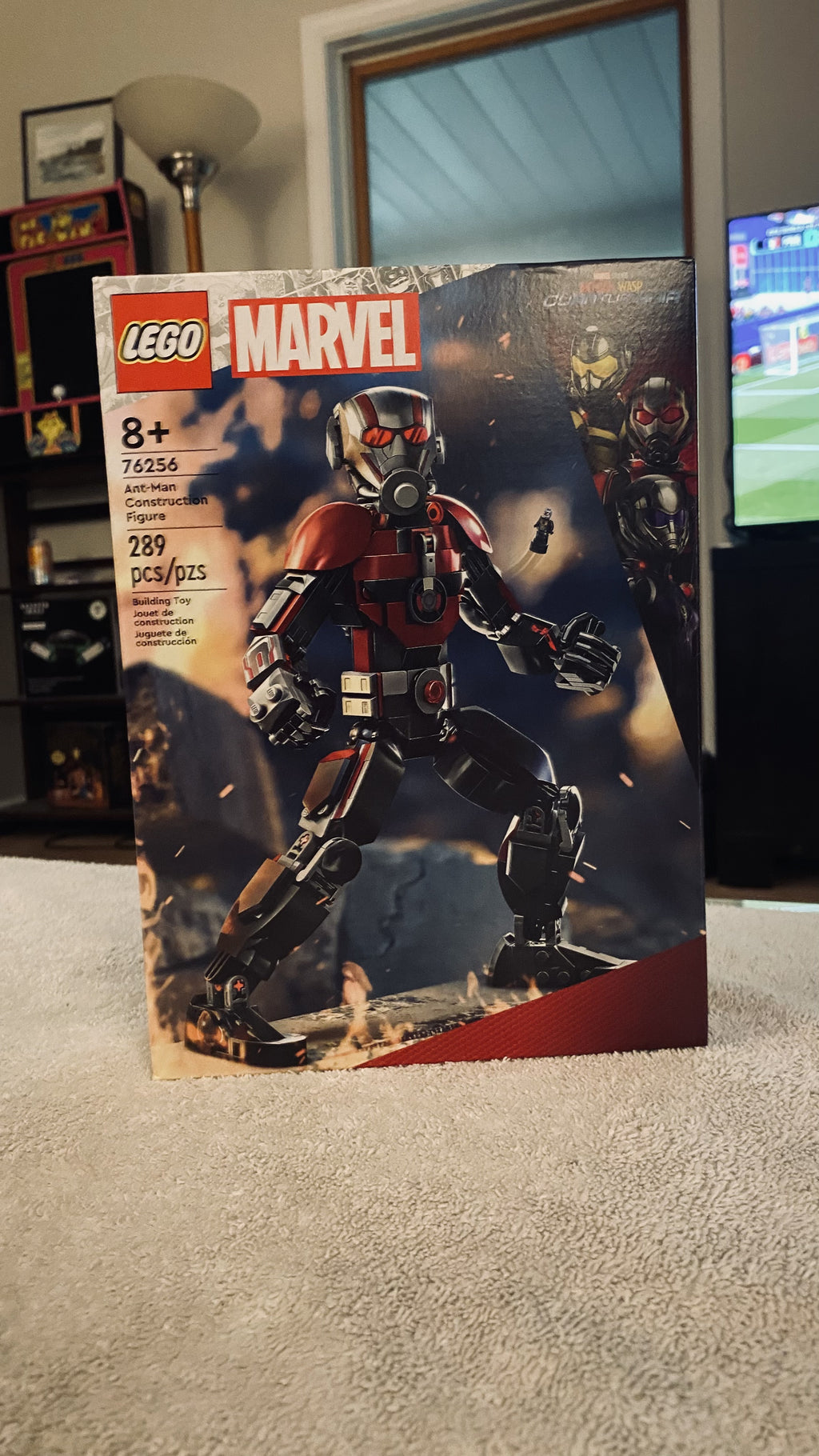 Photo 1 of Ant-Man Construction Figure