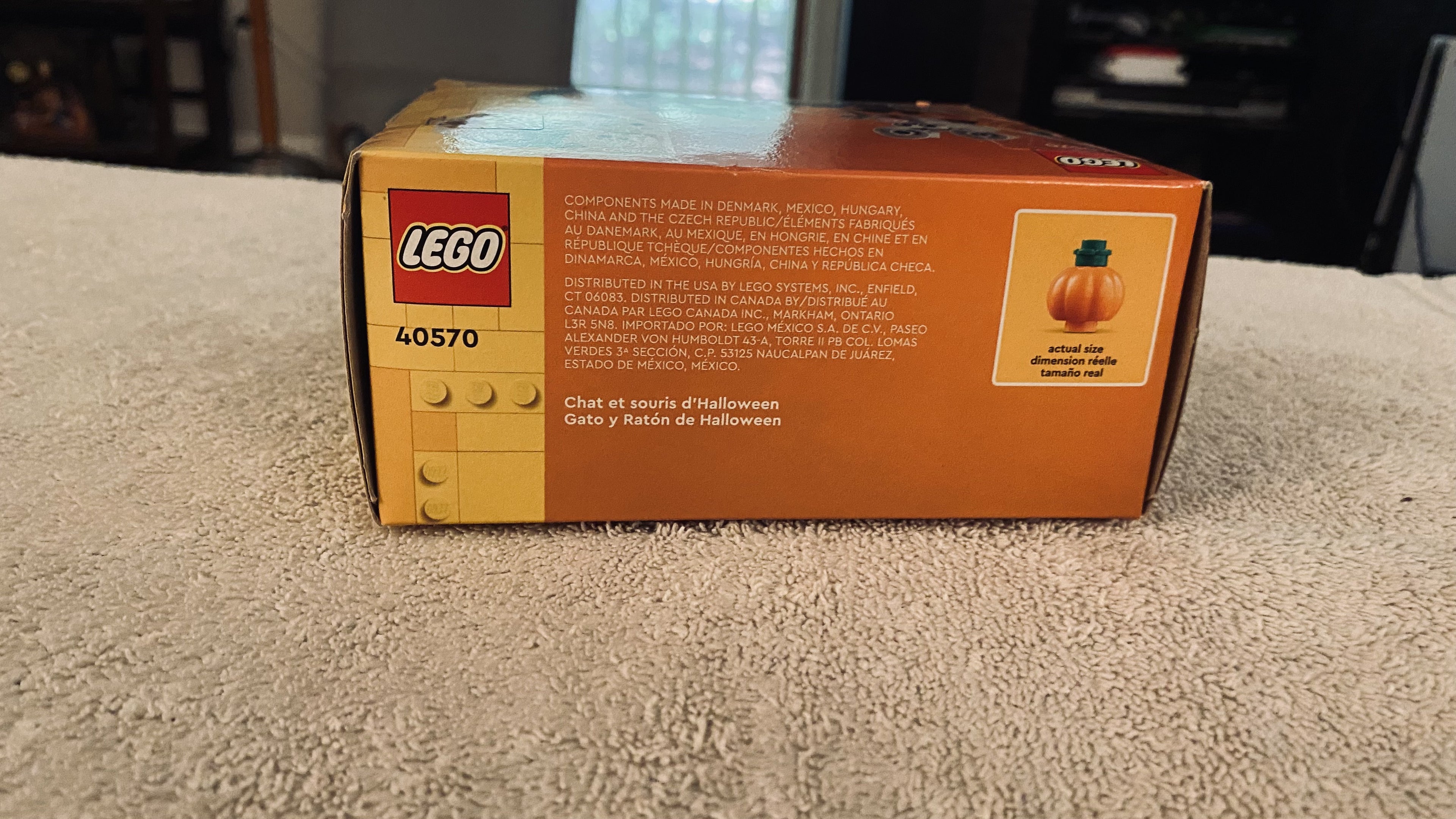 Photo 5 of Halloween Cat & Mouse